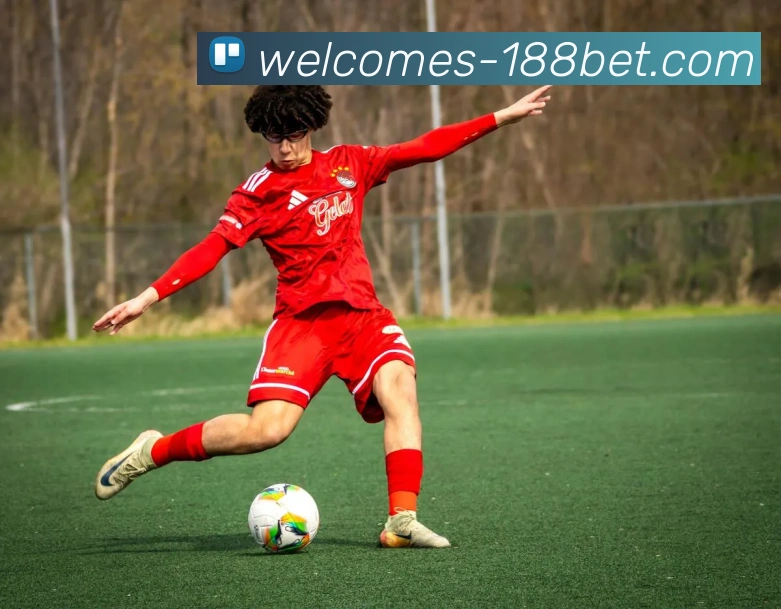 188bet体育官网平台生态图